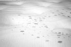 Sfera mattress – close-up