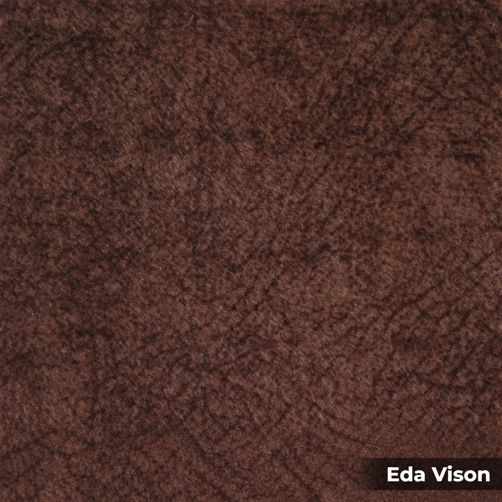 Eda Vison