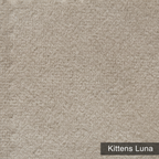 Kittens Luna