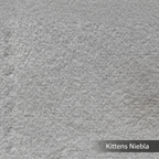 Kittens Niebla