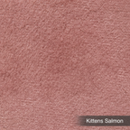 Kittens Salmón
