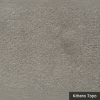 Kittens Topo