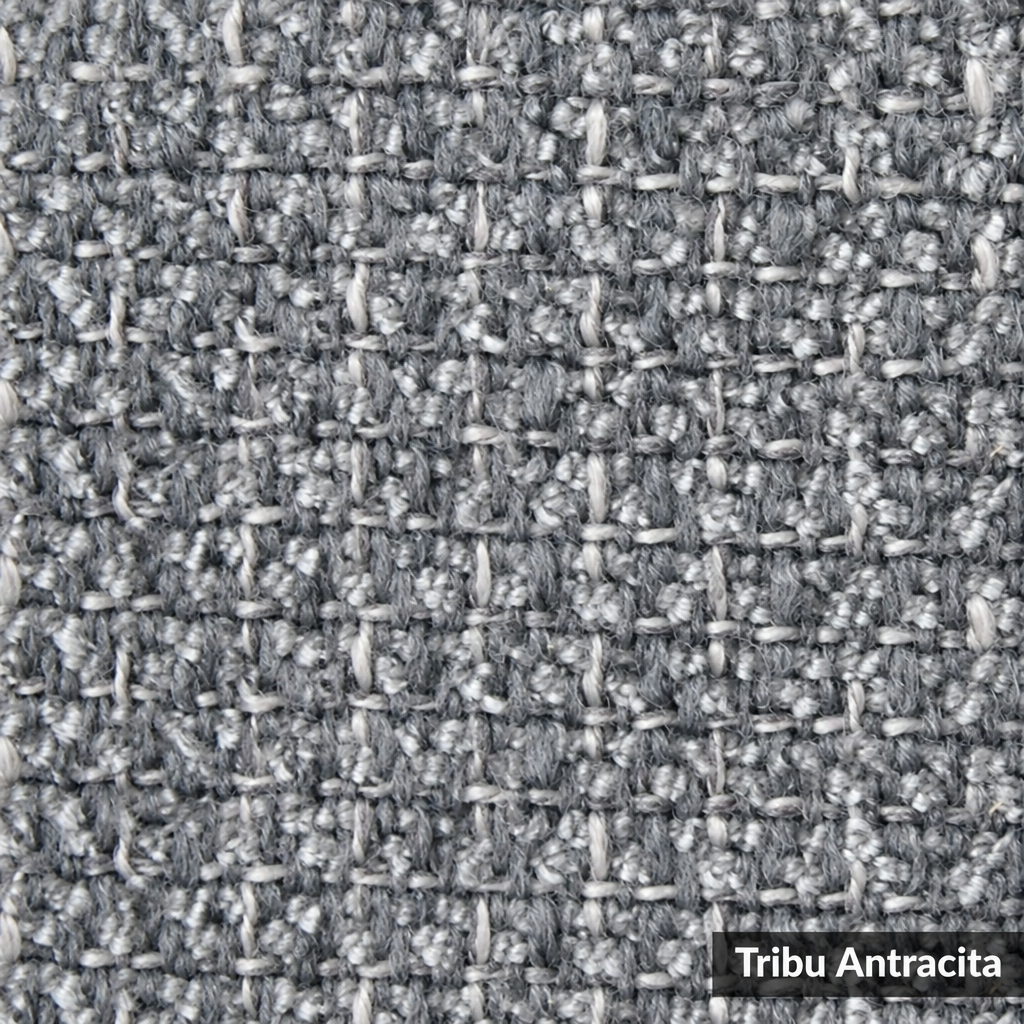 Tribu Antracita