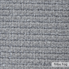 Tribu Fog